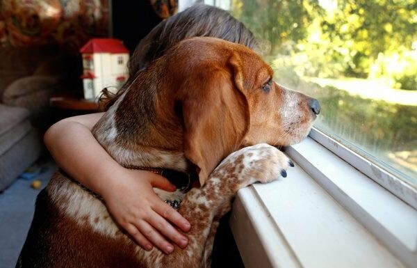 kid with dog looking out window