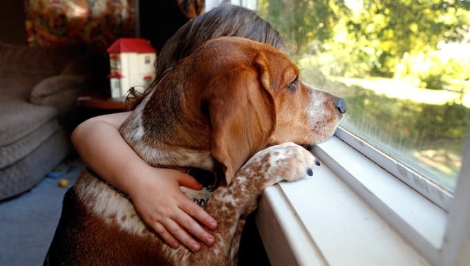 kid with dog looking out window
