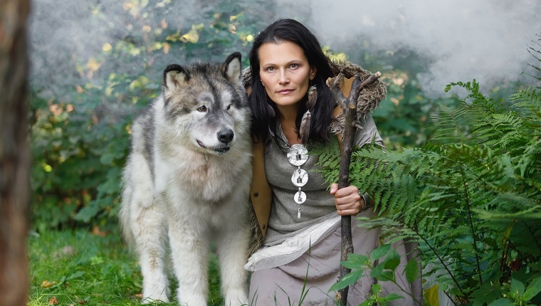 Porträt einer jungen Waldbewohnerin mit einem großen Hund Alaskan Malamute im herbstlichen Wald
