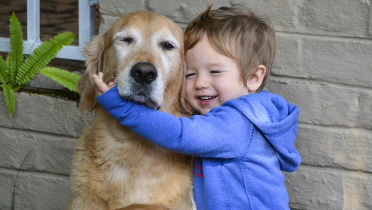 Kleiner Junge umarmt und zeigt Zuneigung und Liebe für seinen besten Freund, einen kuscheligen Golden Retriever.