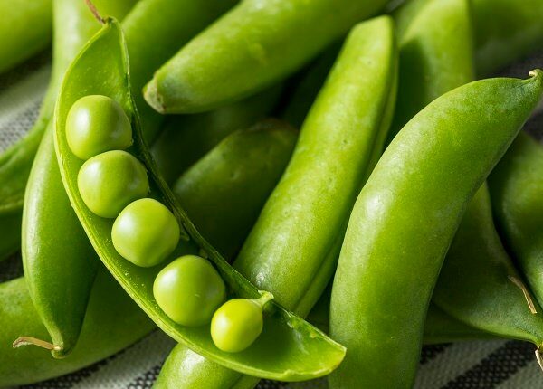 Raw Green Organic Snap Peas in a Bowl