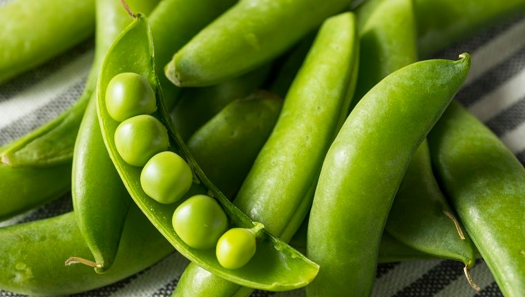 Raw Green Organic Snap Peas in a Bowl