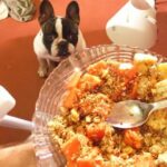 The French bulldog seems to always want food!! And eat everything you give her! Including papaya, banana and granola.