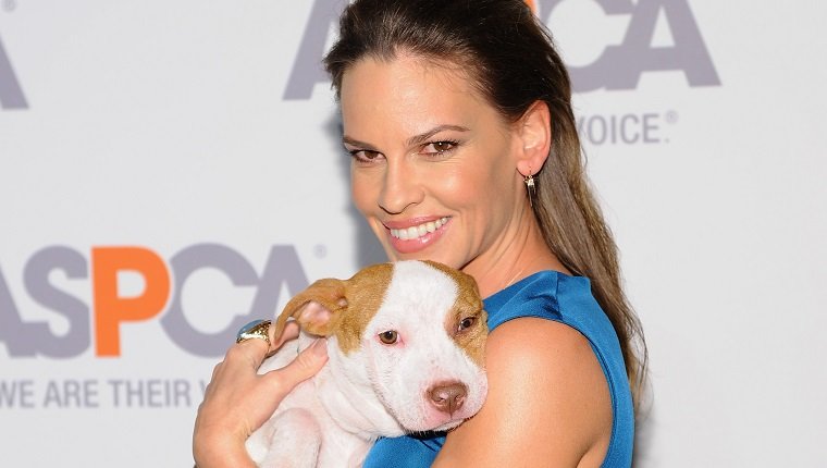 NEW YORK, NY - APRIL 09: Actress Hilary Swank attends the ASPCA