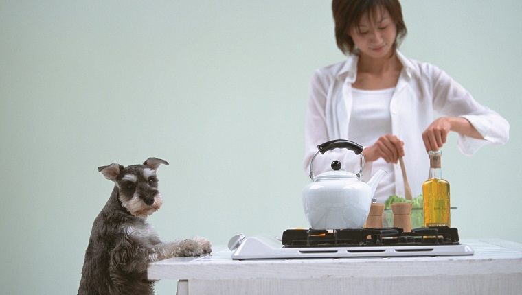 Kochen in der Küche mit Hund