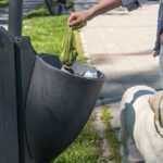 Young woman puts feces in bag in a garbage can she picked up after her pet dog a golden Labrador Retriever pooped on the street while walking him and to keep the streets of the city clean