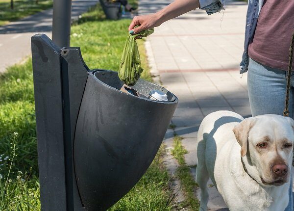 Young woman puts feces in bag in a garbage can she picked up after her pet dog a golden Labrador Retriever pooped on the street while walking him and to keep the streets of the city clean