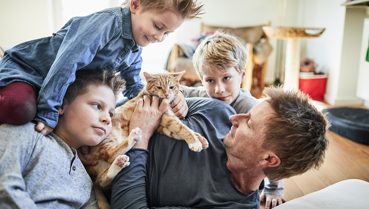 Vater und Kinder, die sich zu Hause mit Katze hinlegen