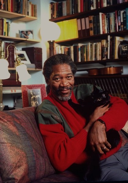 Schauspieler Morgan Freeman posiert w.  Hauskatze zu Hause in NYC.  (Foto von Ted Thai/The LIFE Picture Collection/Getty Images)