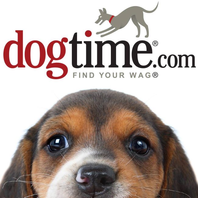 DogTime-Logo