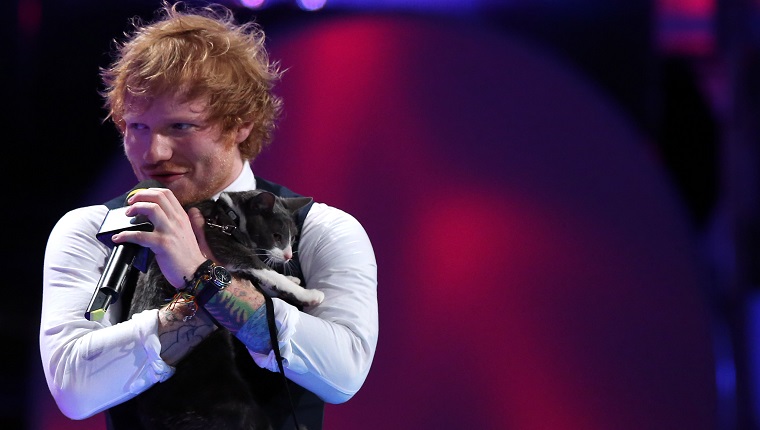 TORONTO, AM 21. JUNI Ed Sheeran hält eine Katze, als er die Much Music Video Awards 2015 bei MuchMusic in der Queen Street West in Toronto mitveranstaltet.  21. Juni 2015 