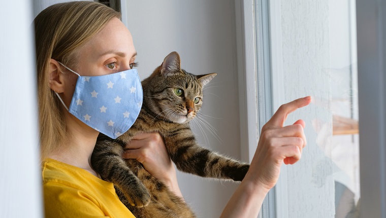 Die Frau setzte eine wiederverwendbare Schutzmaske auf, um sich von Coronavirus und Covid-19 zu Hause zu isolieren.  Ein Mädchen hält eine Katze in ihren Armen, drinnen oder zu Hause am Fenster.  Verhinderung der Ausbreitung des Virus und der Krankheit.  Warten auf den Abschluss der Quarantäne.
