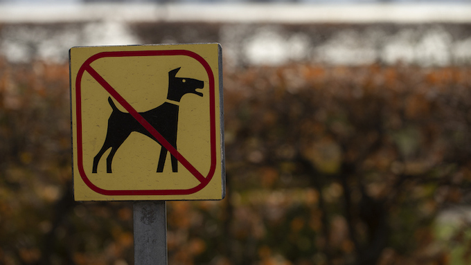 Kanada verbietet Hunde aus 100 „Hochrisiko“-Ländern, „ein verheerender Schlag“