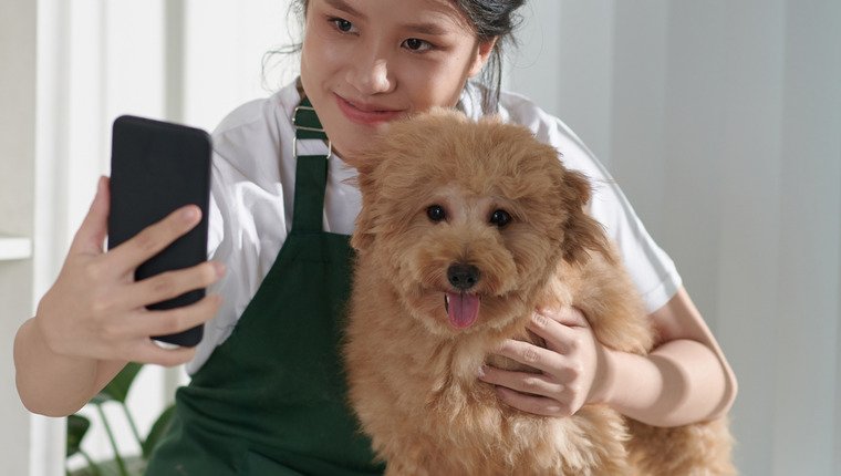 Dieser Tierarzt verkörpert verschiedene Hunderassen auf TikTok