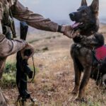 Militärhund im Ruhestand wieder vereint mit Militärveteranen