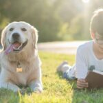 Hunden vorlesen könnte Kindern beim Lernen helfen
