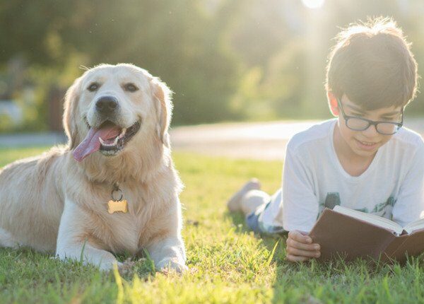 Hunden vorlesen könnte Kindern beim Lernen helfen