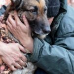 Gemeinnützige Organisation versorgt obdachlose Hundeeltern mit Haustierbedarf
