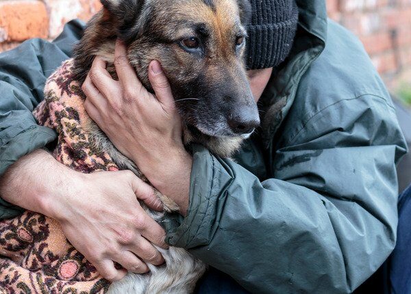 Gemeinnützige Organisation versorgt obdachlose Hundeeltern mit Haustierbedarf