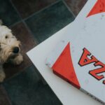 Ein italienisches Restaurant nutzt Pizza, um Hunde adoptieren zu lassen