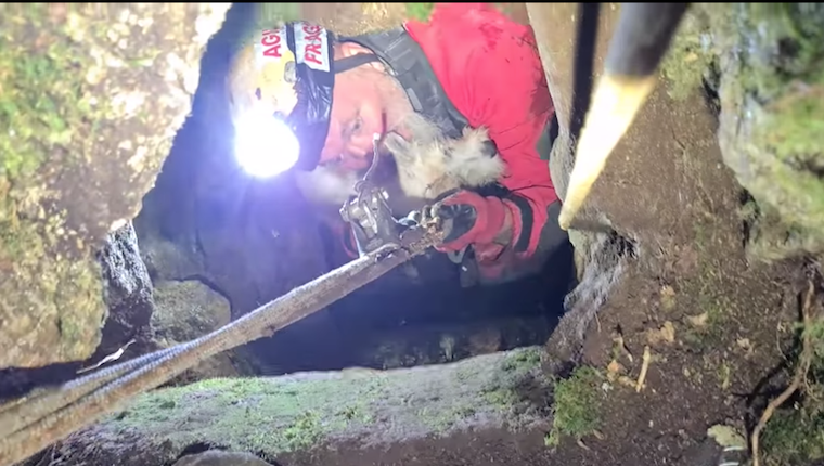 Hund gerettet, nachdem er in ein 164-Fuß-Bergbauloch gefallen war