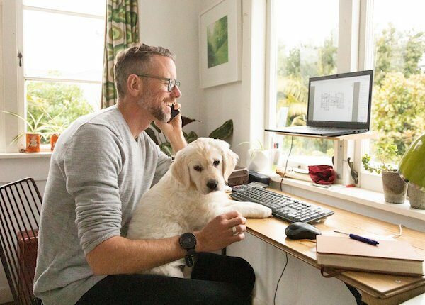 Covid-Welpe: Entlasten Sie Ihren Hund, wenn Sie ins Büro zurückkehren