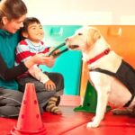 Studie sagt, dass Therapiehunde nicht für alle autistischen Kinder geeignet sind