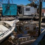 „Mega-Adoptions“-Event in Florida angesichts der Hurrikan-Probleme