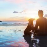 Eine neue Spiritualität: Verbinde dich mit der Natur, finde deinen inneren Hund