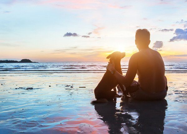 Eine neue Spiritualität: Verbinde dich mit der Natur, finde deinen inneren Hund