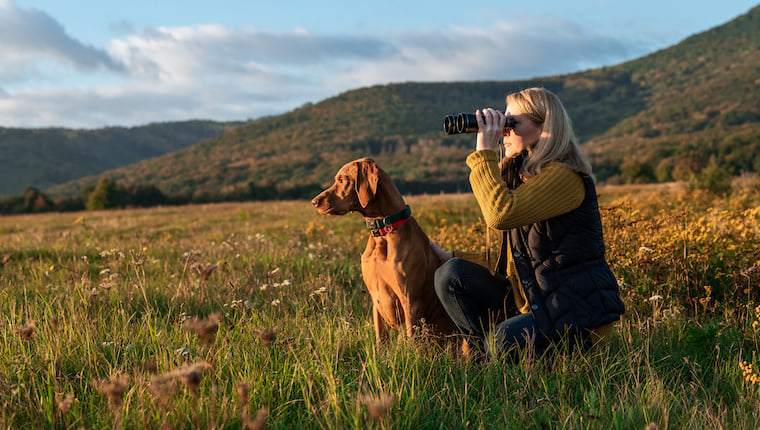 Eine Frau aus Maine gehört zu den besten Hundeführern für Vögel in den USA