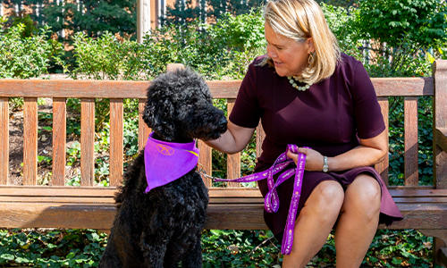 Überlebende von häuslicher Gewalt sollten ihre Haustiere nicht zurücklassen müssen - die Mission des Purple Leash Project