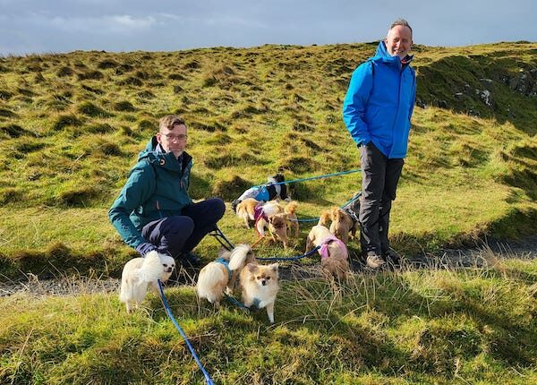 Ein Paar und 8 Hündchen gehen durch Nordirland, um Hunde zu retten