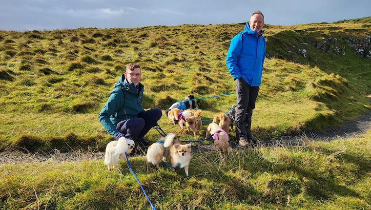 Ein Paar und 8 Hündchen gehen durch Nordirland, um Hunde zu retten