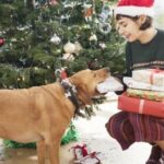 Haustiereltern verbringen mehr Zeit mit Weihnachtseinkäufen für Haustiere als mit der Familie
