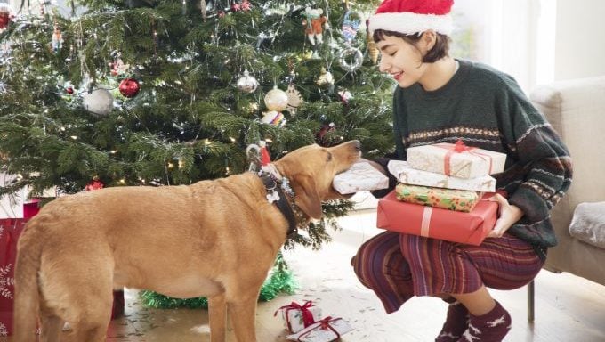 Haustiereltern verbringen mehr Zeit mit Weihnachtseinkäufen für Haustiere als mit der Familie
