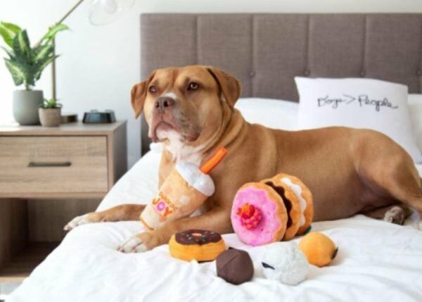 Dunkin' debütiert mit duftendem Kaffee und Donut-Hundespielzeug
