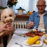 Welche Thanksgiving-Lebensmittel können Sie sicher mit Ihrem Hund teilen?