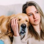 Kann mir die Adoption eines Hundes helfen, mit Trauer umzugehen?