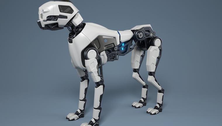 Sieben Eigenschaften, die Roboterhunde brauchen, um sich mit Menschen zu verbinden