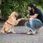 Gehörloser Hund lernt Gebärdensprache in nur acht Wochen