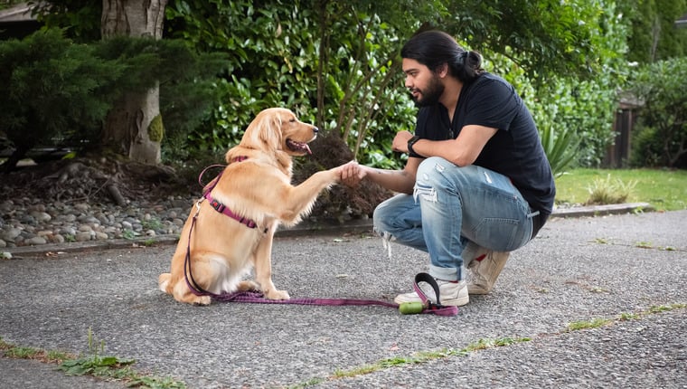 Gehörloser Hund lernt Gebärdensprache in nur acht Wochen