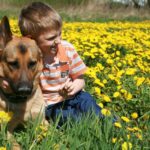 Deutscher Schäferhund rettet 6-jährigen Jungen