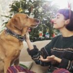 TikToker lässt die Weihnachtsträume ihrer Hunde wahr werden