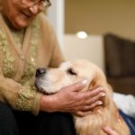 Die Good Dog Foundation bildet Haustiere zu Therapiehunden aus