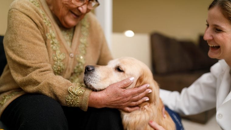 Die Good Dog Foundation bildet Haustiere zu Therapiehunden aus