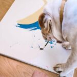 Hund namens Van Gogh findet durch Bemalung ein Zuhause für immer
