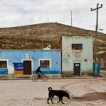 Hunden in Bolivien die notwendige Pflege zukommen lassen