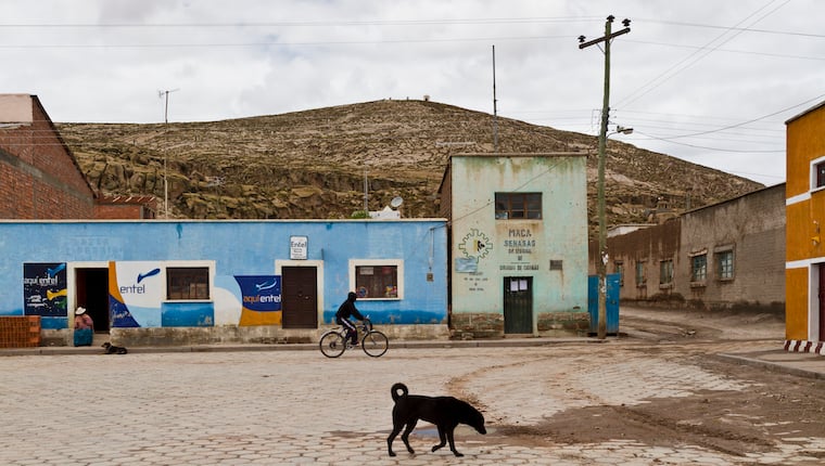 Hunden in Bolivien die notwendige Pflege zukommen lassen