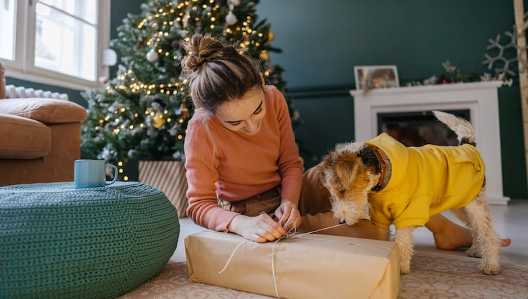 Hunde-Gadgets zum Verschenken des Hundeelternteils in Ihrem Leben in dieser Weihnachtszeit